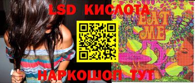 молекула духа Будённовск