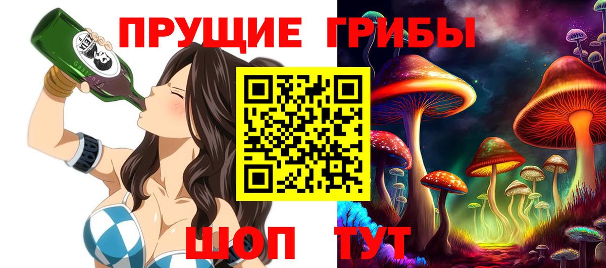 Шуя  Псилоцибиновые грибы Magic Shrooms  Вход с VPN  Галлюциногенные грибы Magic Shrooms 