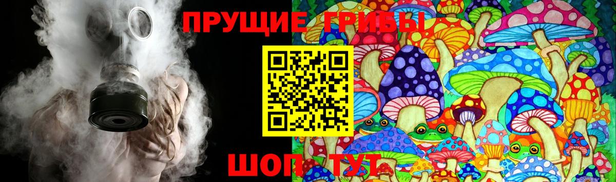 Галлюциногенные грибы прущие грибы Шуя